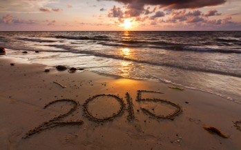 Jahresrückblick 2015 – das Jahr der Höhen und Tiefen