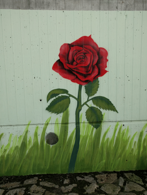 rose5x-473x630 rose5x-473x630 rose5x nexus 5x Nexus 5X im Test – ein zwieträchtiges Smartphone rose5x 473x630